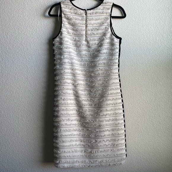 Women’s Sleeveless Striped Fringe Sheath Dress - Picture 3 of 7
